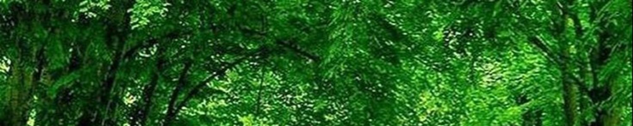 Cover photo for Ferrel C. Glover's Obituary