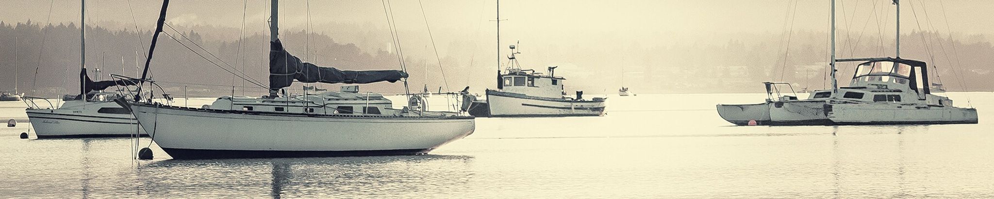Cover photo for David Scott's Obituary
