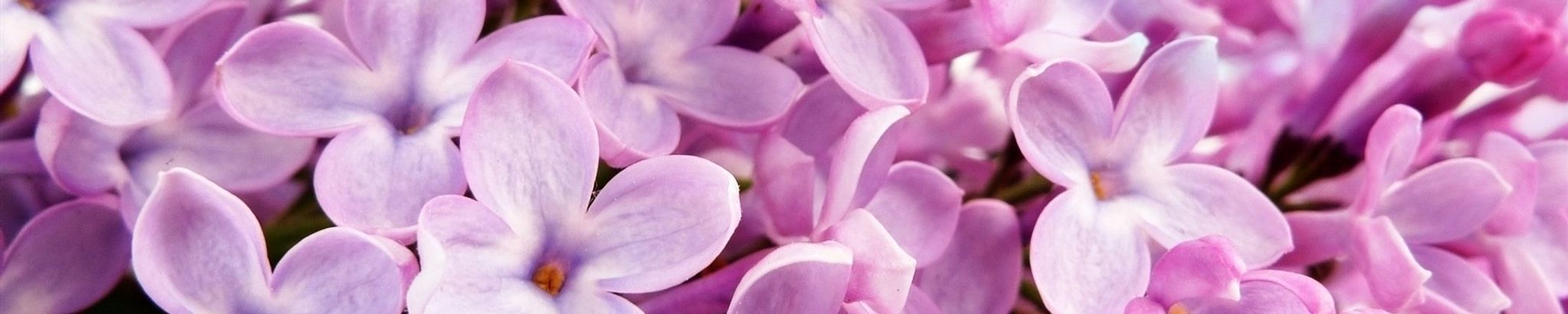 Cover photo for Maria Benitez's Obituary