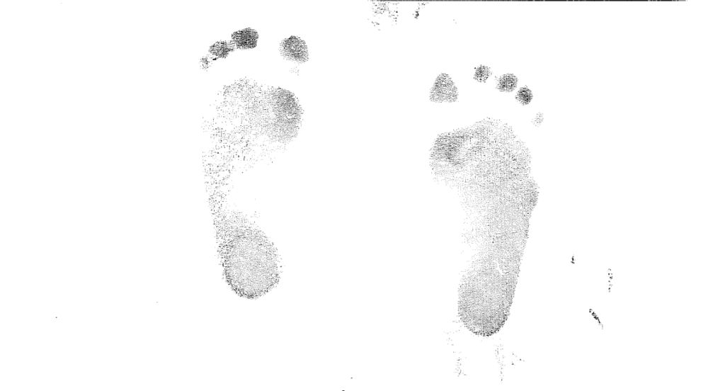 Cylas Timothy Cox