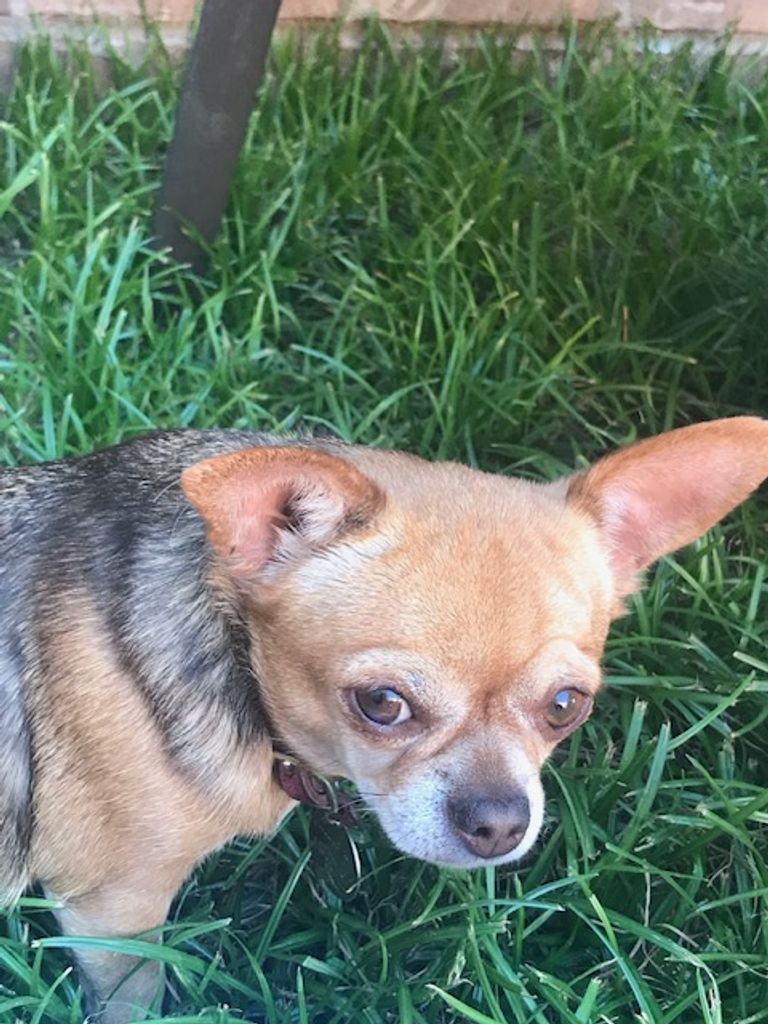 Laverne Profile Photo