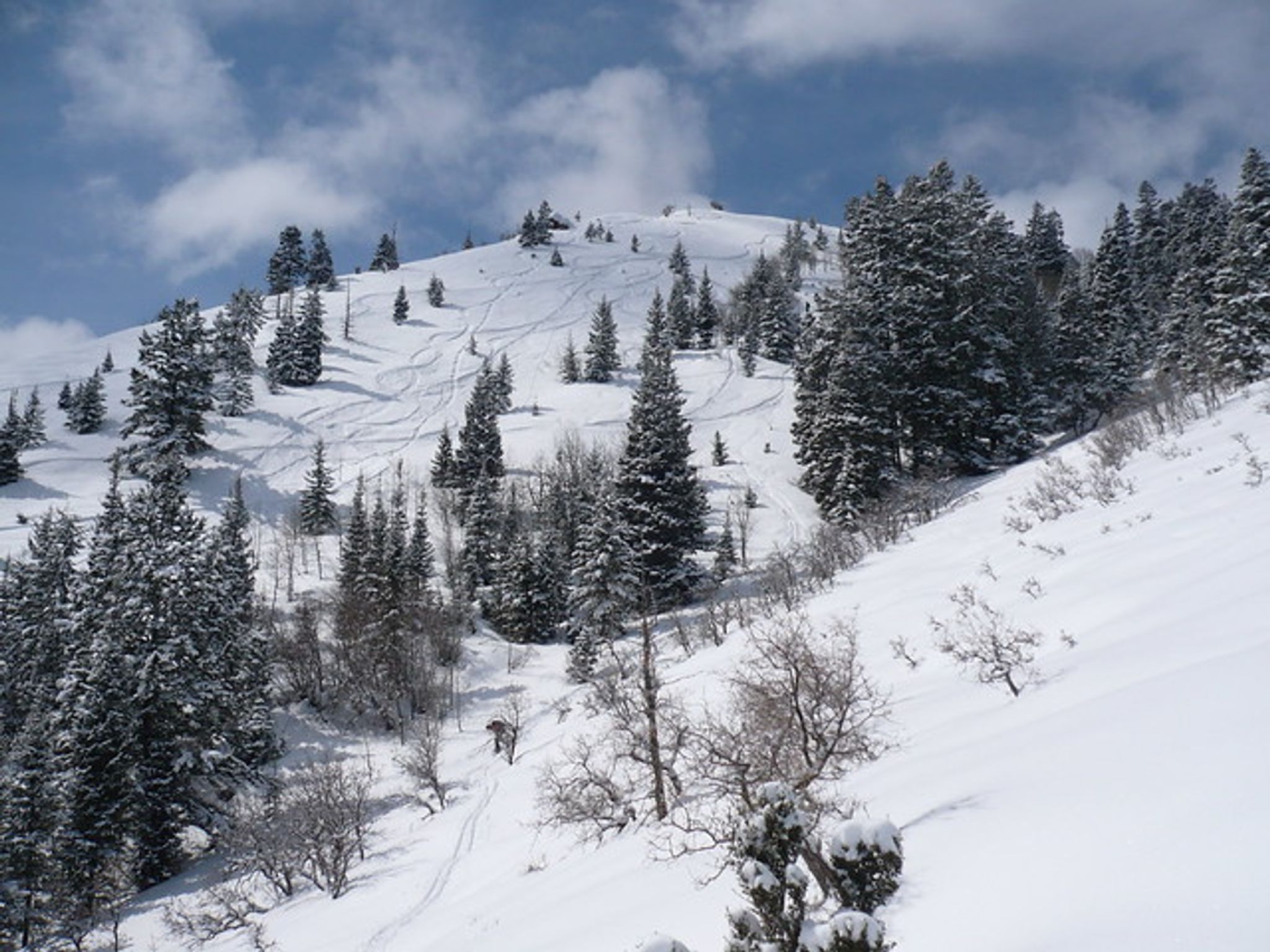 Cover for Dale A Faulk's Obituary