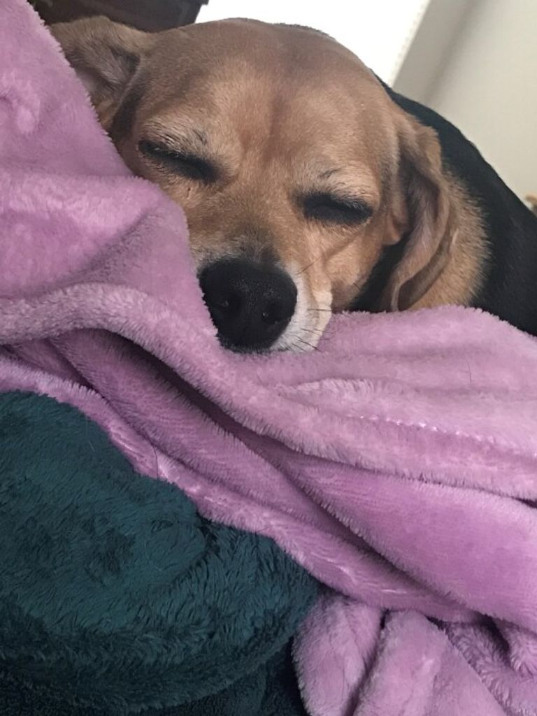 Gracie May Weatherington Profile Photo