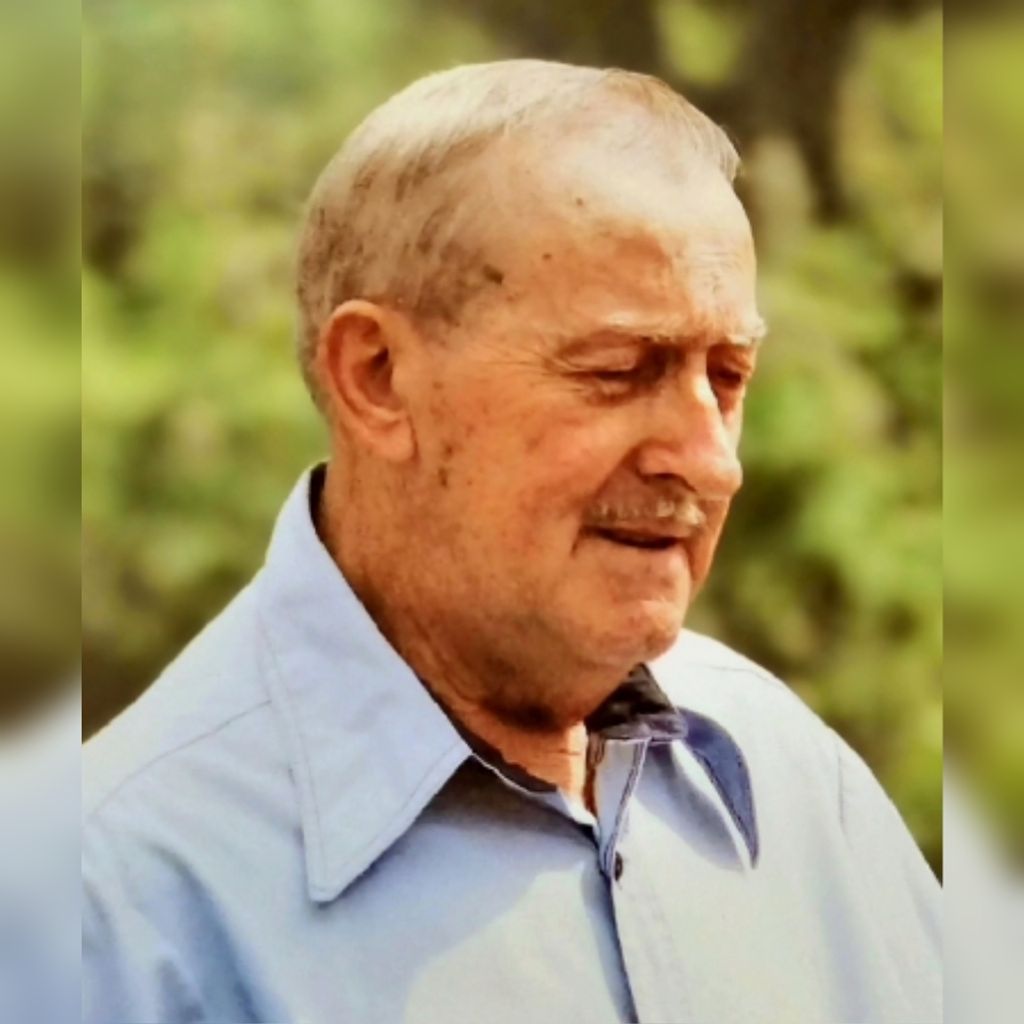 Leslie R. Degreenia