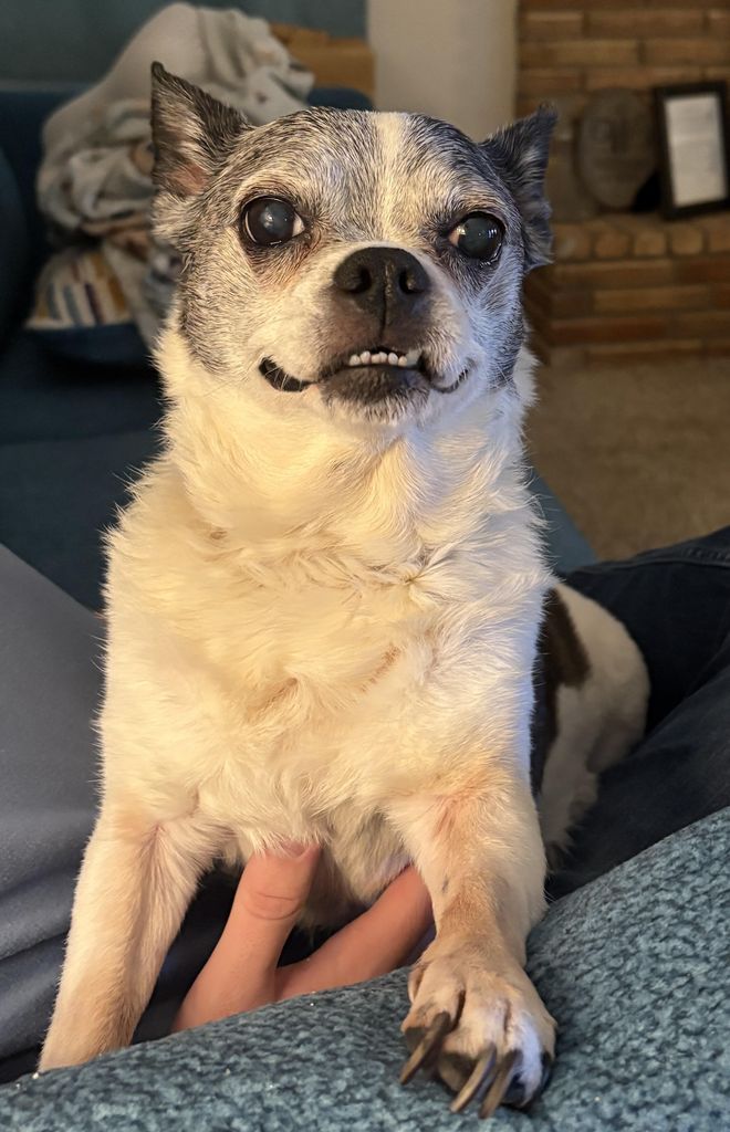 Lucy Profile Photo
