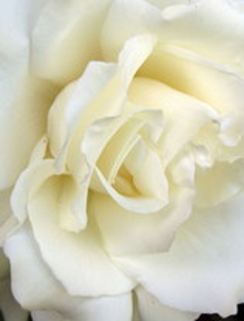Barbara Gean Clark Bennett