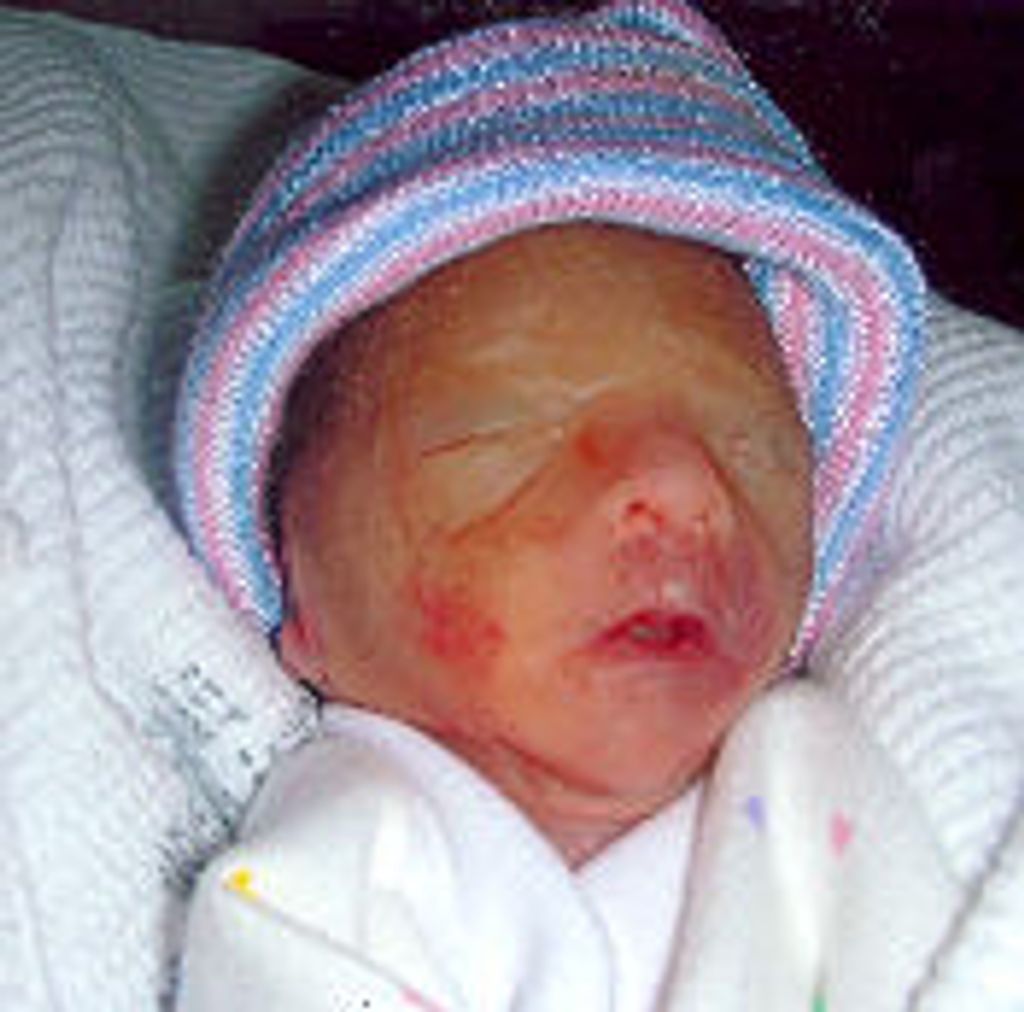 Jaxon Blake Spurrier Profile Photo