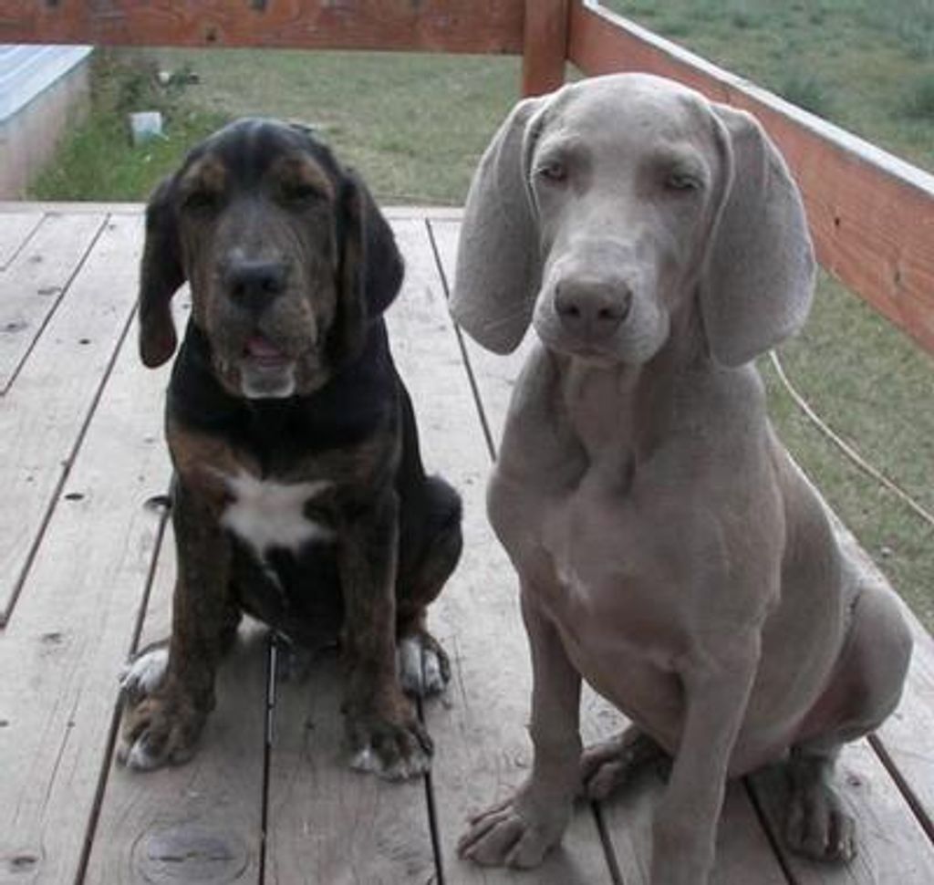 Andrew  Joseph Ortenzio Profile Photo