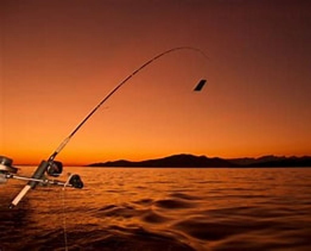 Darrin B. Stanley Profile Photo