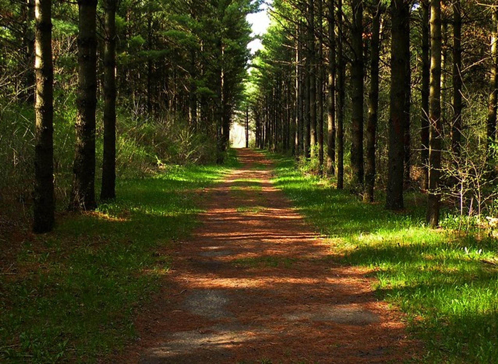 Cover for Ann M. Beverly's Obituary