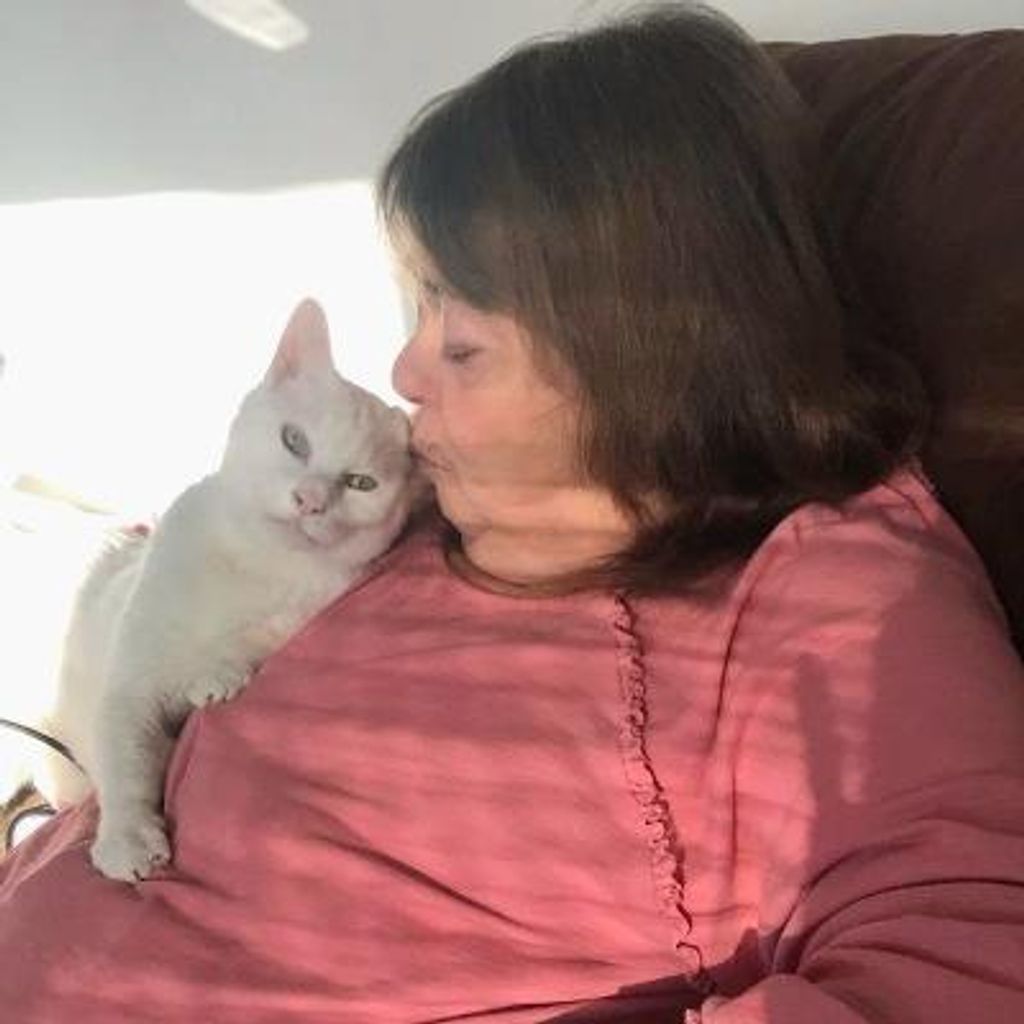 Nancy Lee Patus Profile Photo