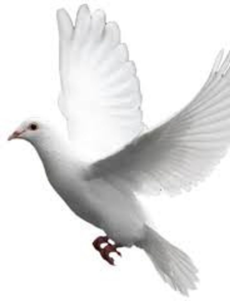 Benny  "Ben" Jack Fair