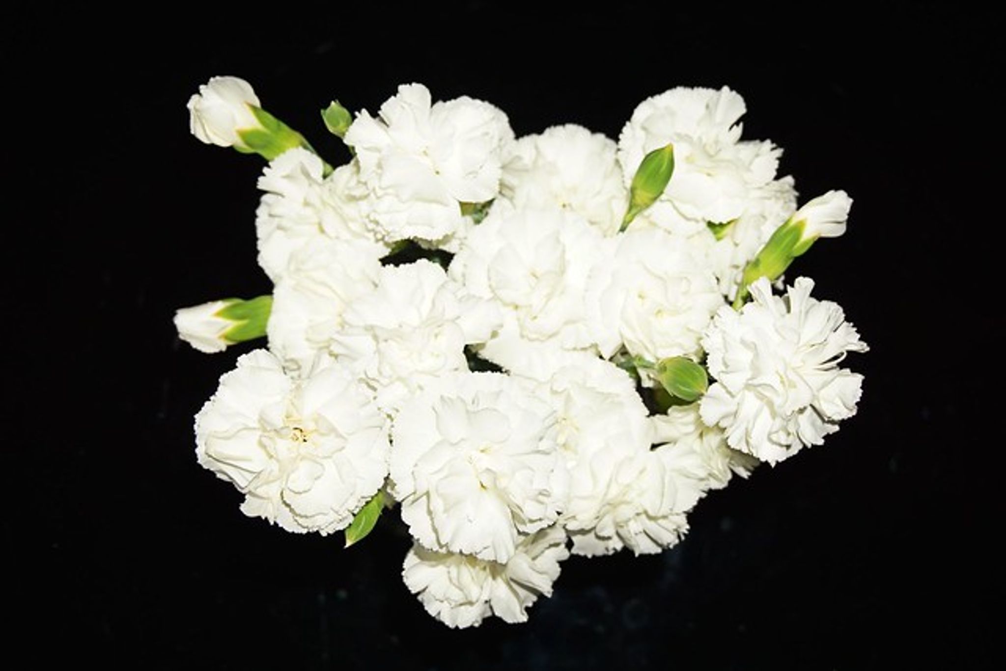 Cover photo for Gladys Marie Shaw's Obituary