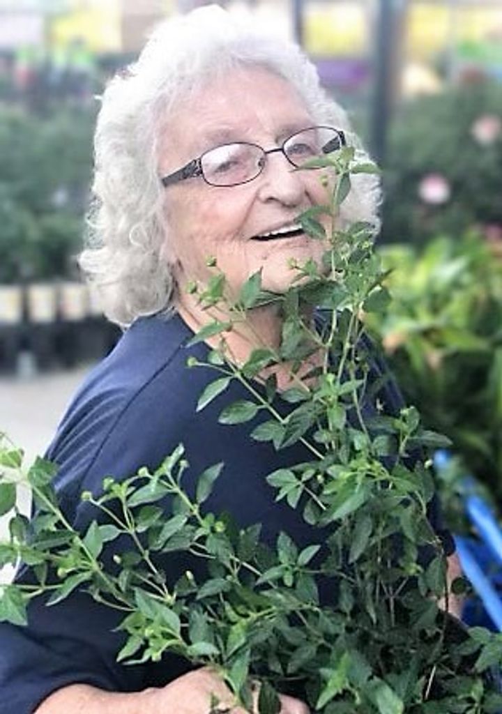 Dorothy Liona (Clark)  Bradberry Profile Photo