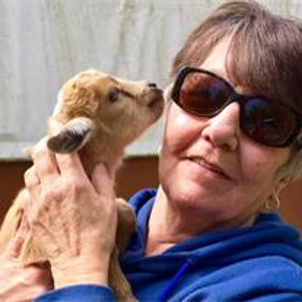Beverly Ann Vogt Profile Photo