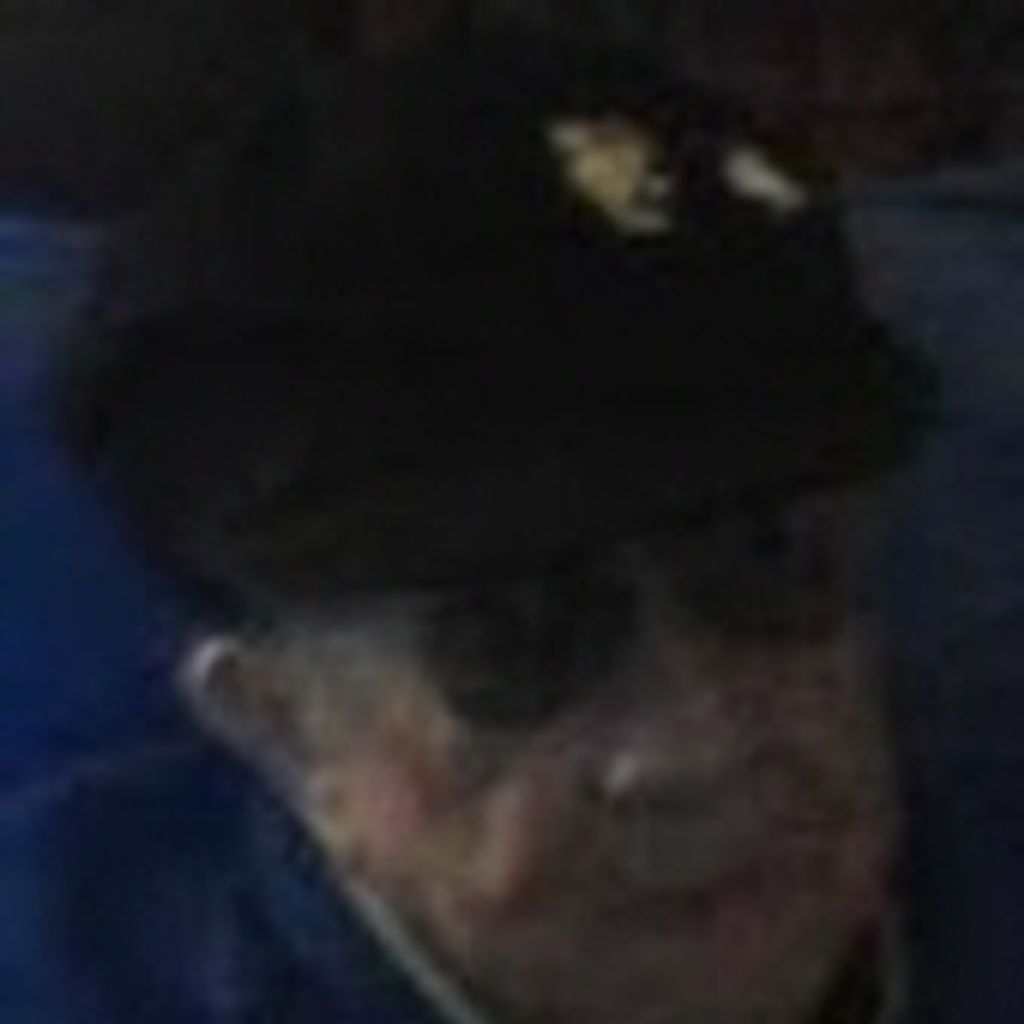 Clara L. Mars