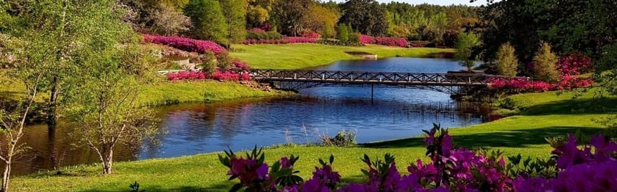 Cover photo for Barbara J. Whisenhunt's Obituary