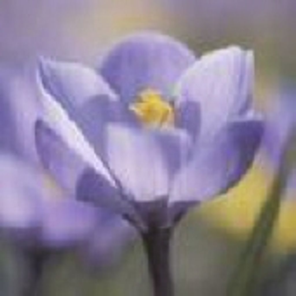 Cathy Bieri Profile Photo