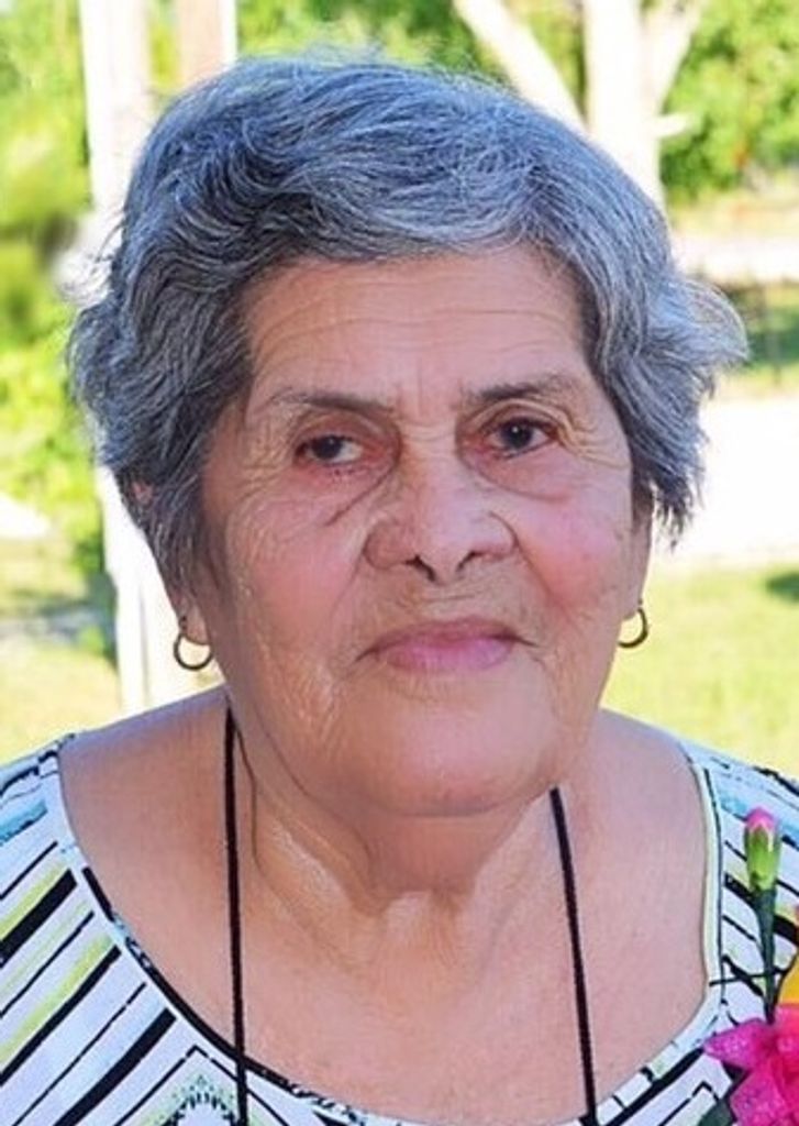Teresa D Unate De Fraga