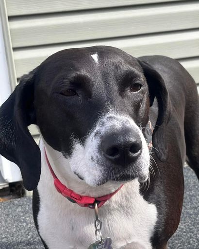 Lucy Lou Kinkle Profile Photo