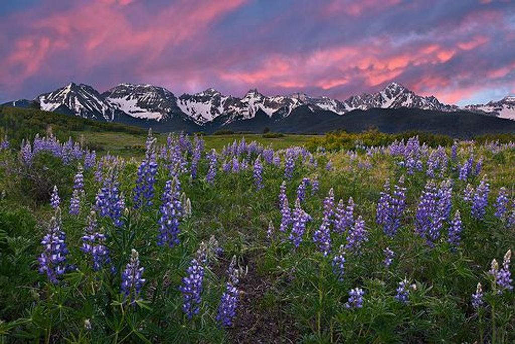 Darlene Gay Cauffman Thomas