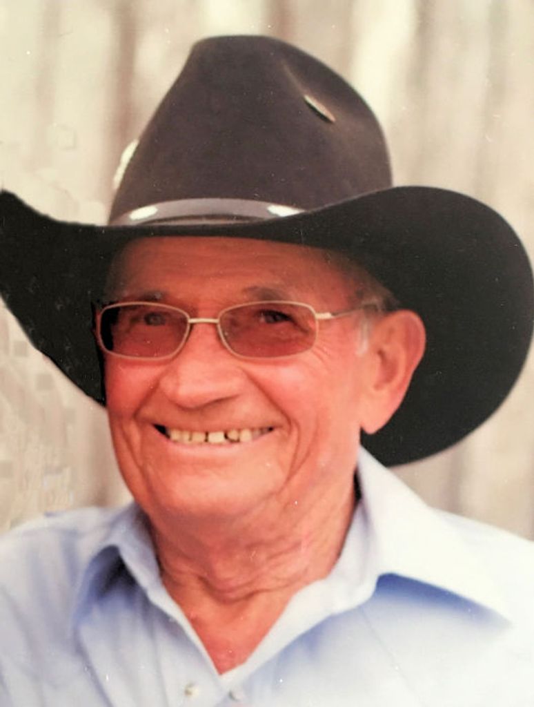 Vernon David Wetzel