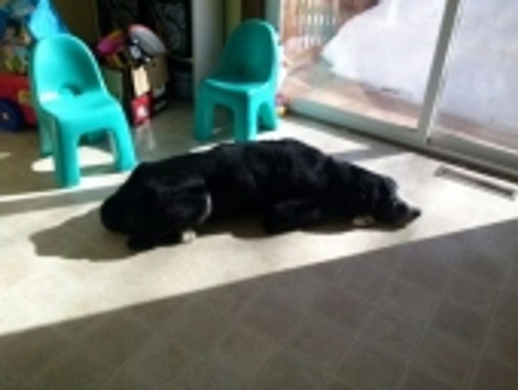 Yogi Semelbauer Profile Photo