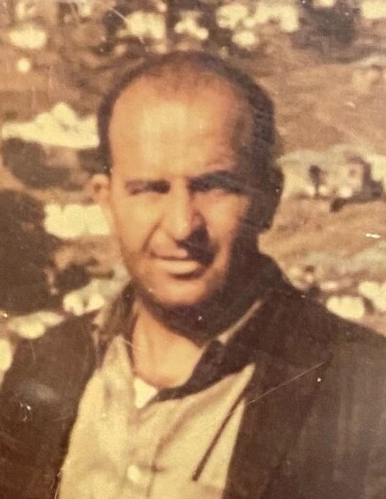 Michael N. Valhouli