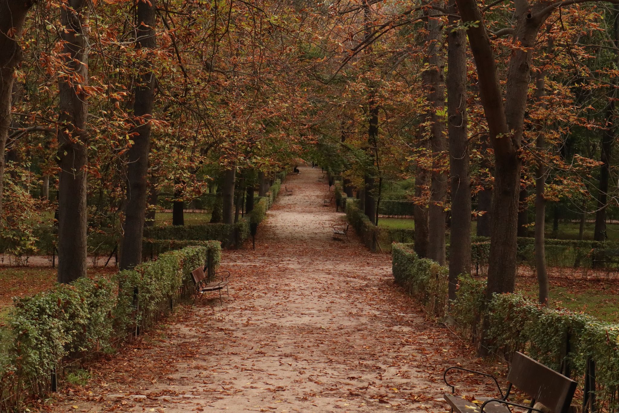 Cover for Sterling Curtis Kent's Obituary