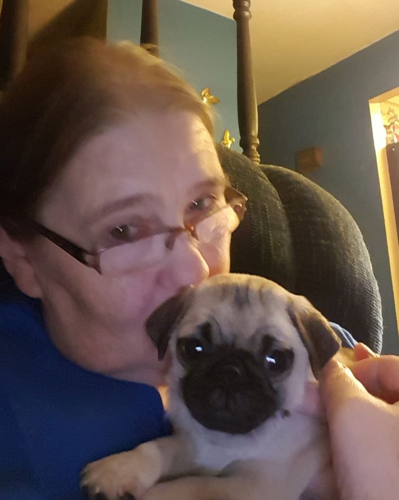 Wendy C. Carlson Profile Photo