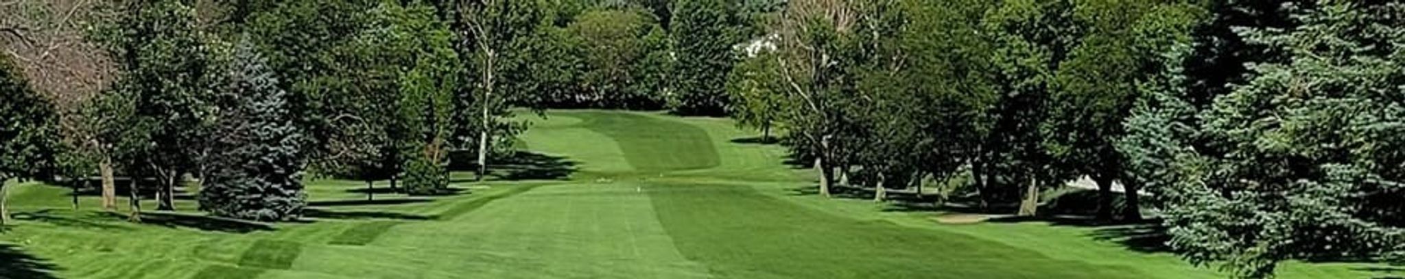 Cover for Lynn Allan Phelps's Obituary