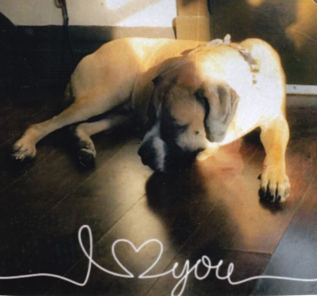 Rebel Miller-Hillard