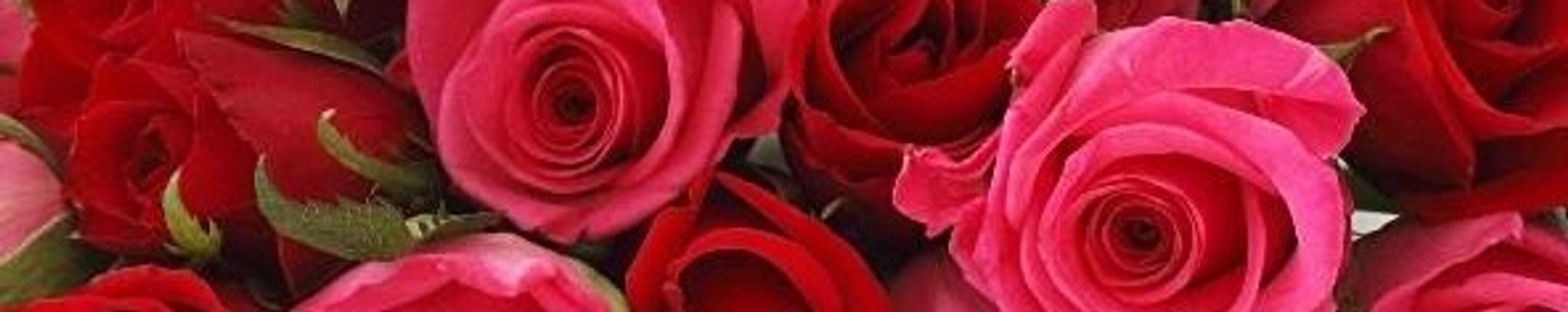 Cover for Margaret "Peggy" McClees's Obituary