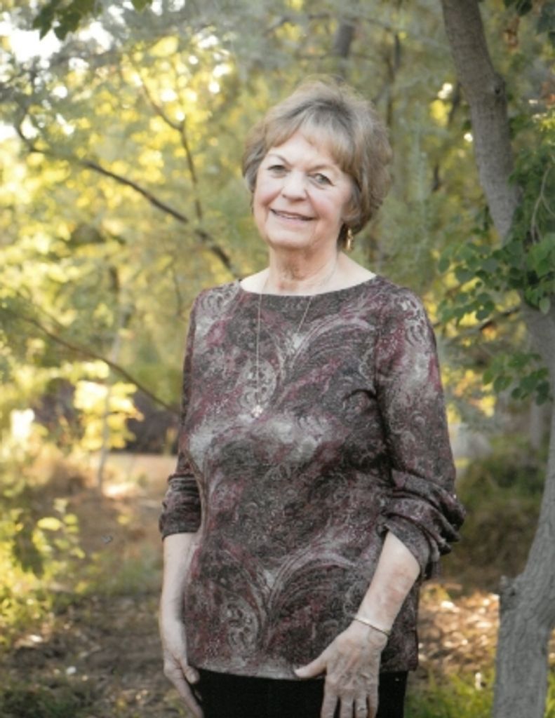 Carol Ann Kammeyer Profile Photo