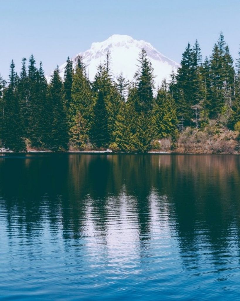 Adam Kyle Price Profile Photo