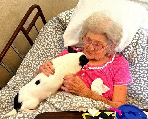 Betty Carroll photo gallery thumbnail 113 of 122