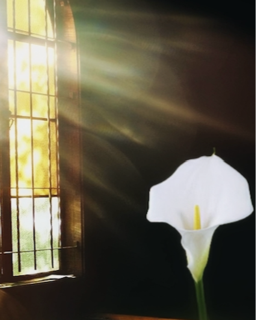 Roger Phillip Holsomback