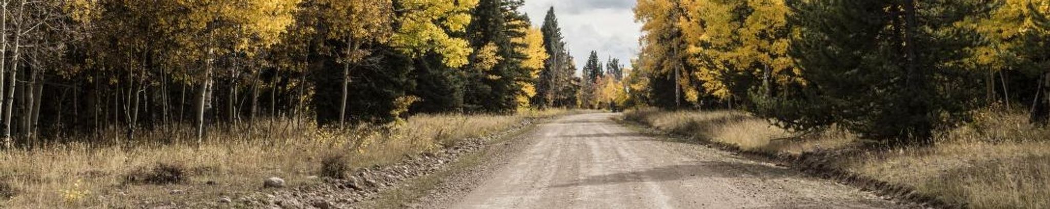 Cover for Richard "Rick" Dana Shaw's Obituary