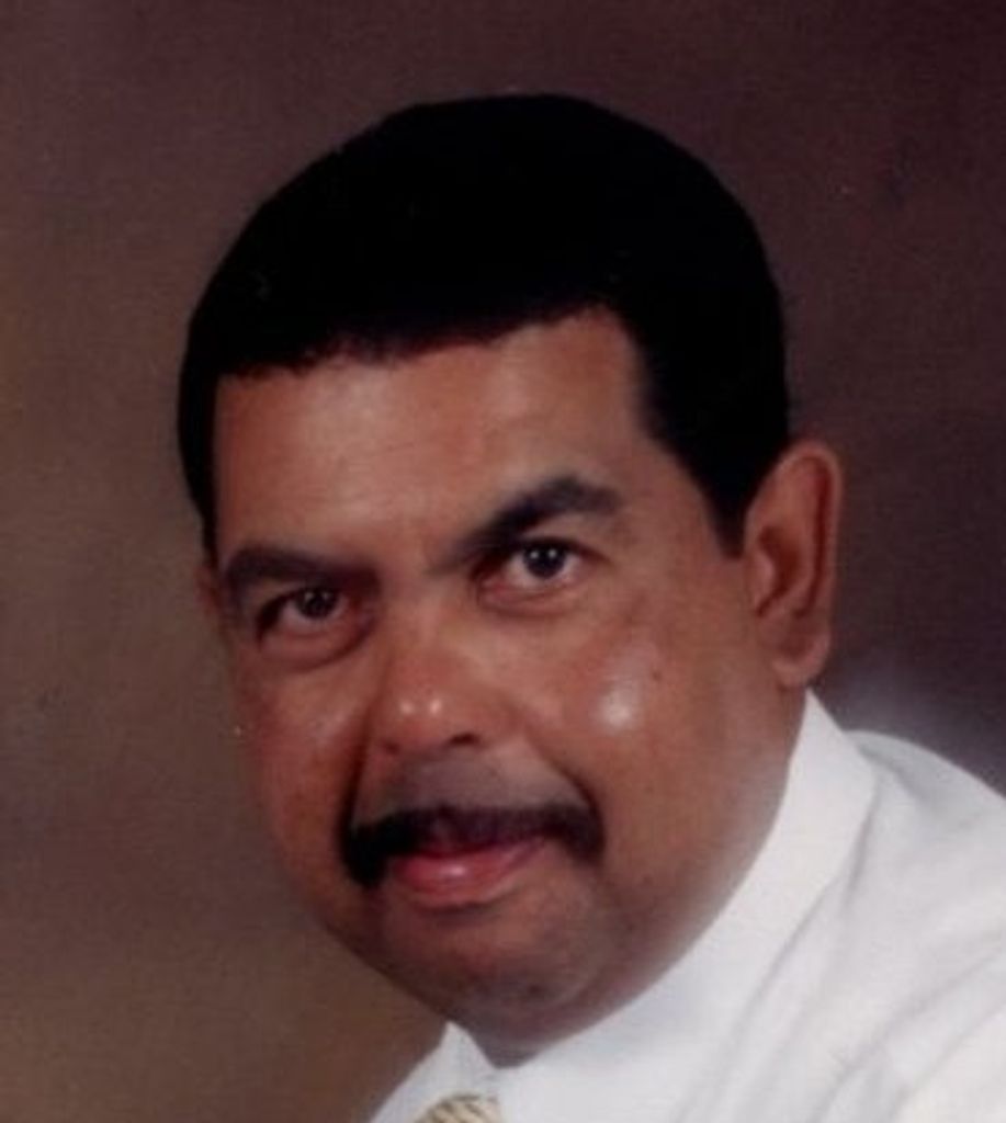 Terry  Anderson Johnson