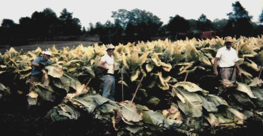 Tom D. East photo gallery thumbnail 166 of 183
