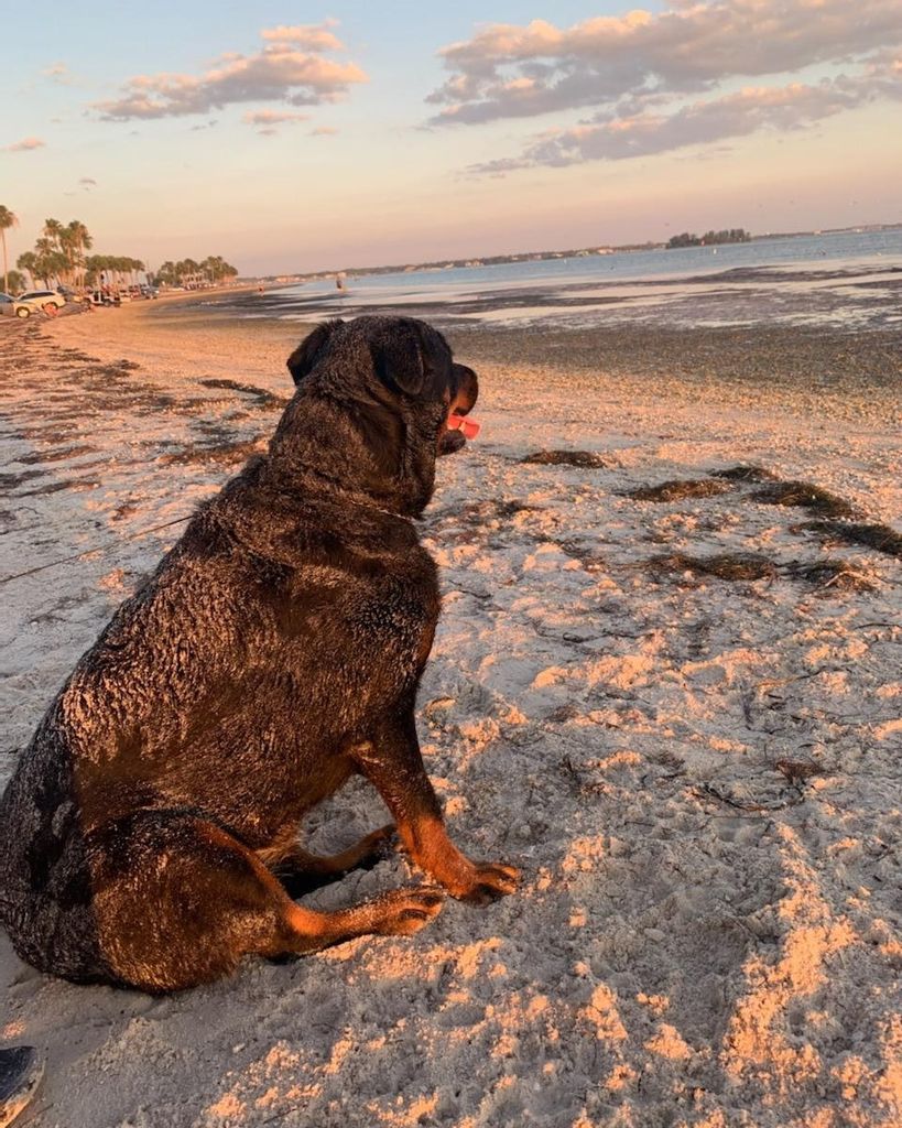 Samantha "Sammy" Sadlowski Profile Photo