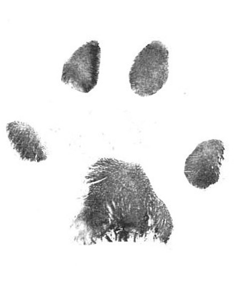 Stella Anzallne Profile Photo
