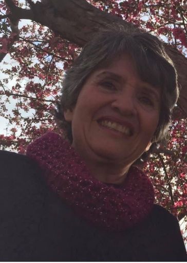 Mary Ann Gehling Profile Photo