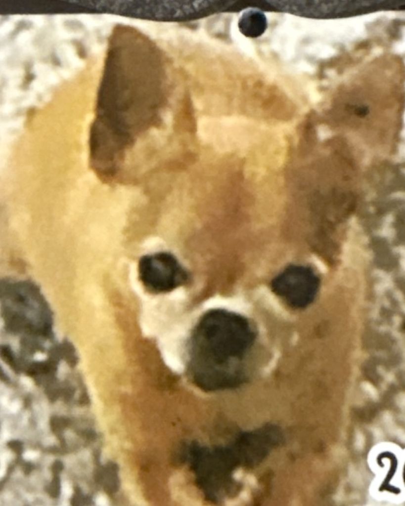 Rambo  Kimsey Profile Photo