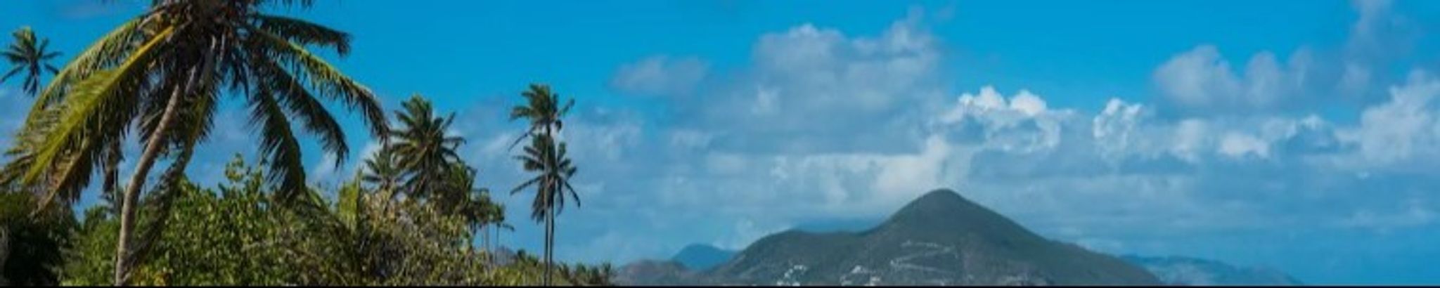 Cover for Lynda and Kenneth Young's Obituary