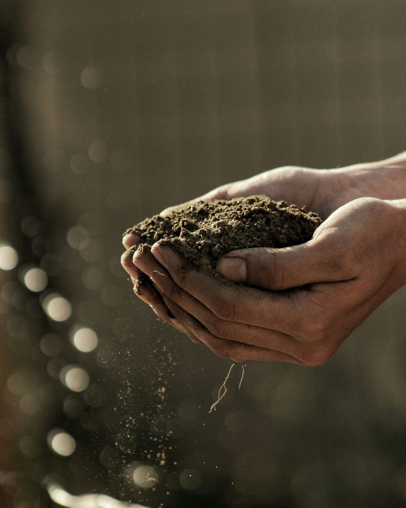 David Melvin Kidd Profile Photo