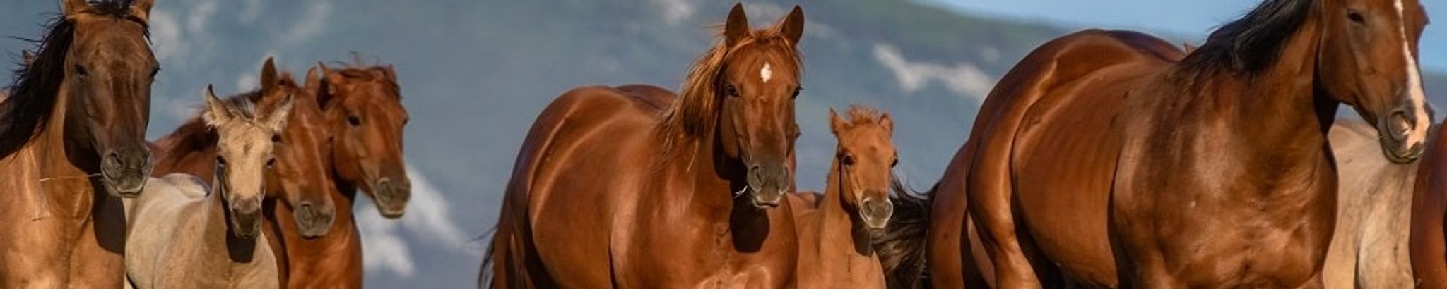 Cover for James T. Eglen's Obituary