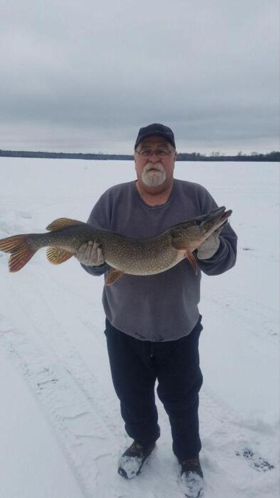 Randy Lee Mcintee Profile Photo