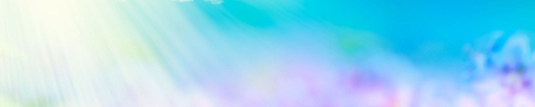 Cover photo for Patricia Ann Hubbard's Obituary