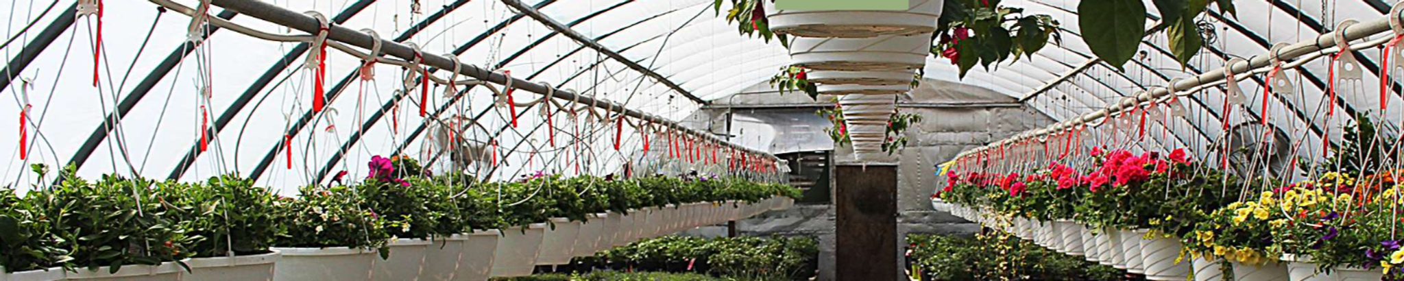 Cover for Paul Jozwik's Obituary